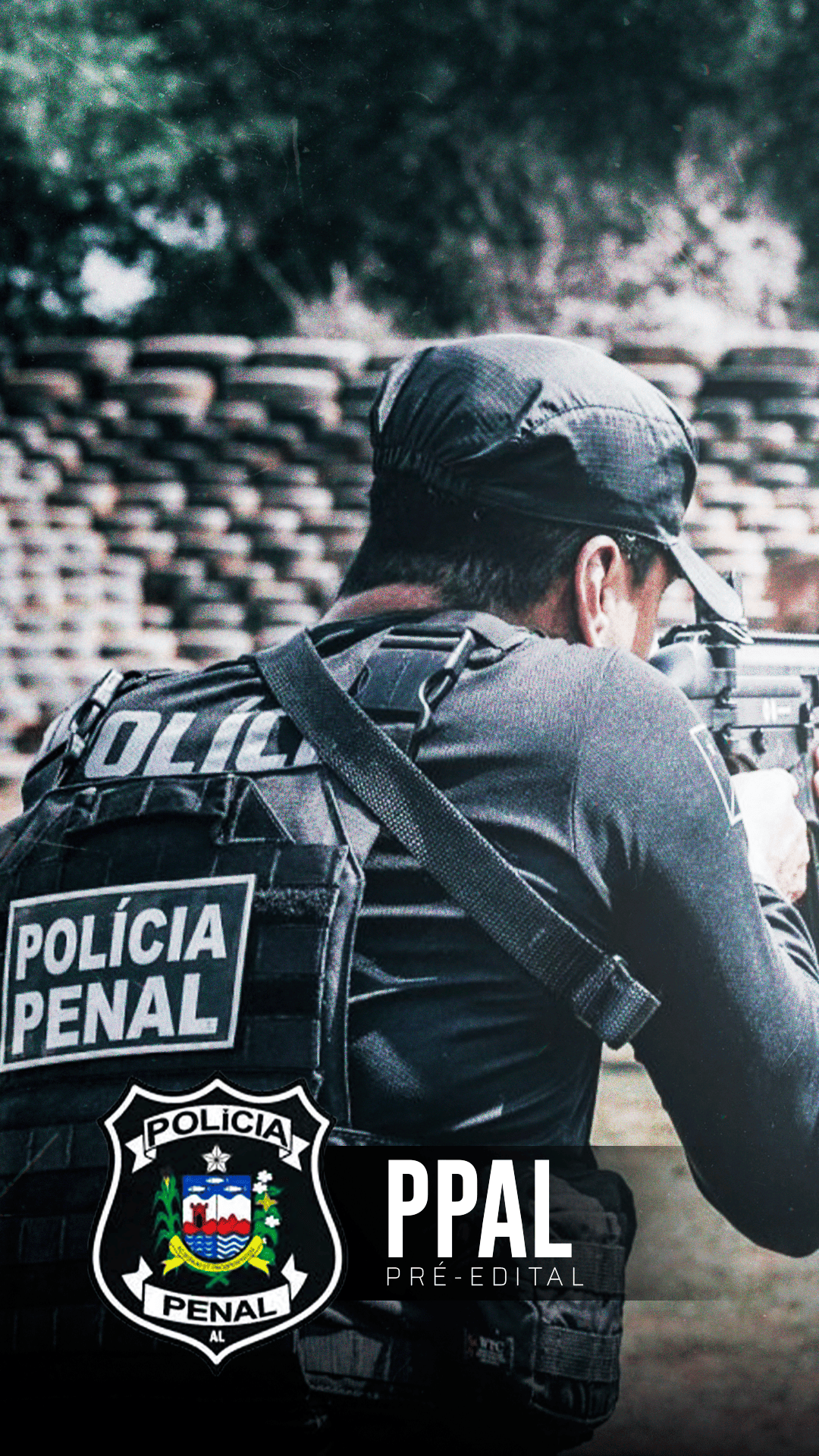Curso PP-AL